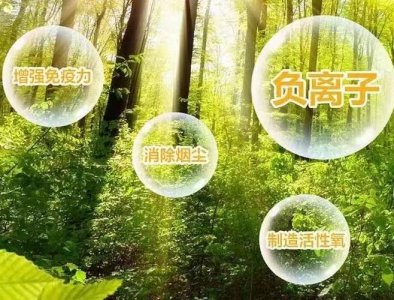 纳米、改性、分子桥等，负氧离子生态液的“黑科技”